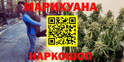 прущая мука Гусев