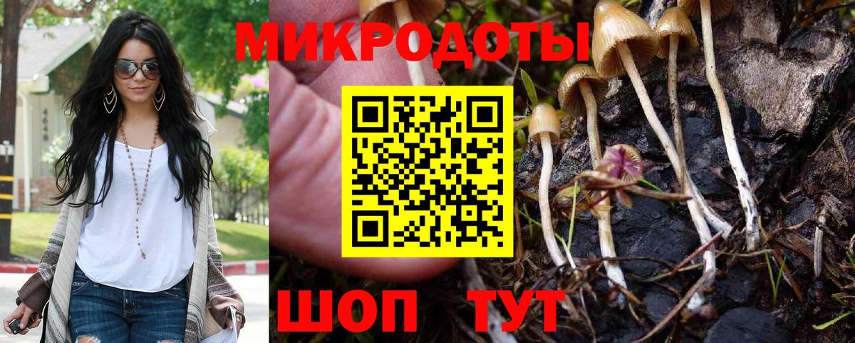 Псилоцибиновые грибы прущие грибы Михайловск