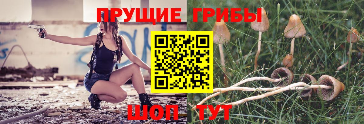 Михайловск  Псилоцибиновые грибы мицелий  Вход с VPN 